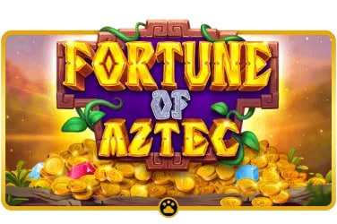Live Casino ngn999